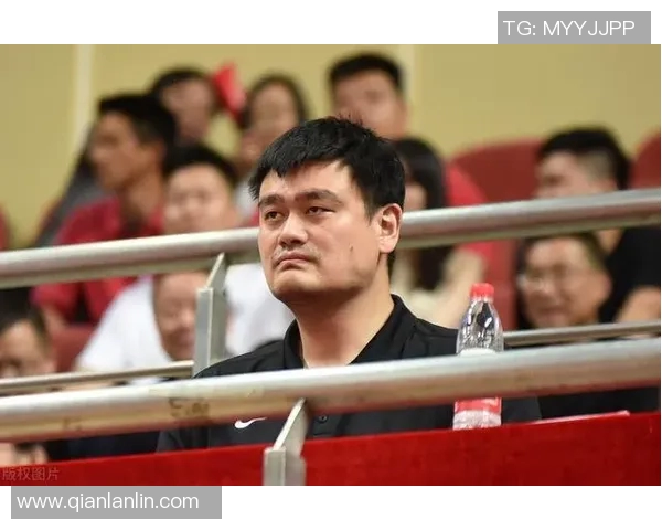 姚明无奈瞬间的背后故事与情感解读 姚明无奈瞬间的背后故事与情感解读