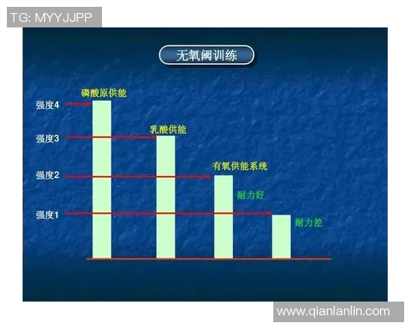 西安羽毛球队反击战术解析与实战应用探讨 西安羽毛球队反击战术解析与实战应用探讨