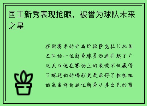 国王新秀表现抢眼，被誉为球队未来之星